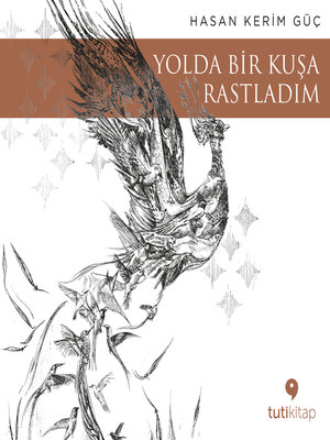 cover image of Yolda Bir Kuşa Rastladım